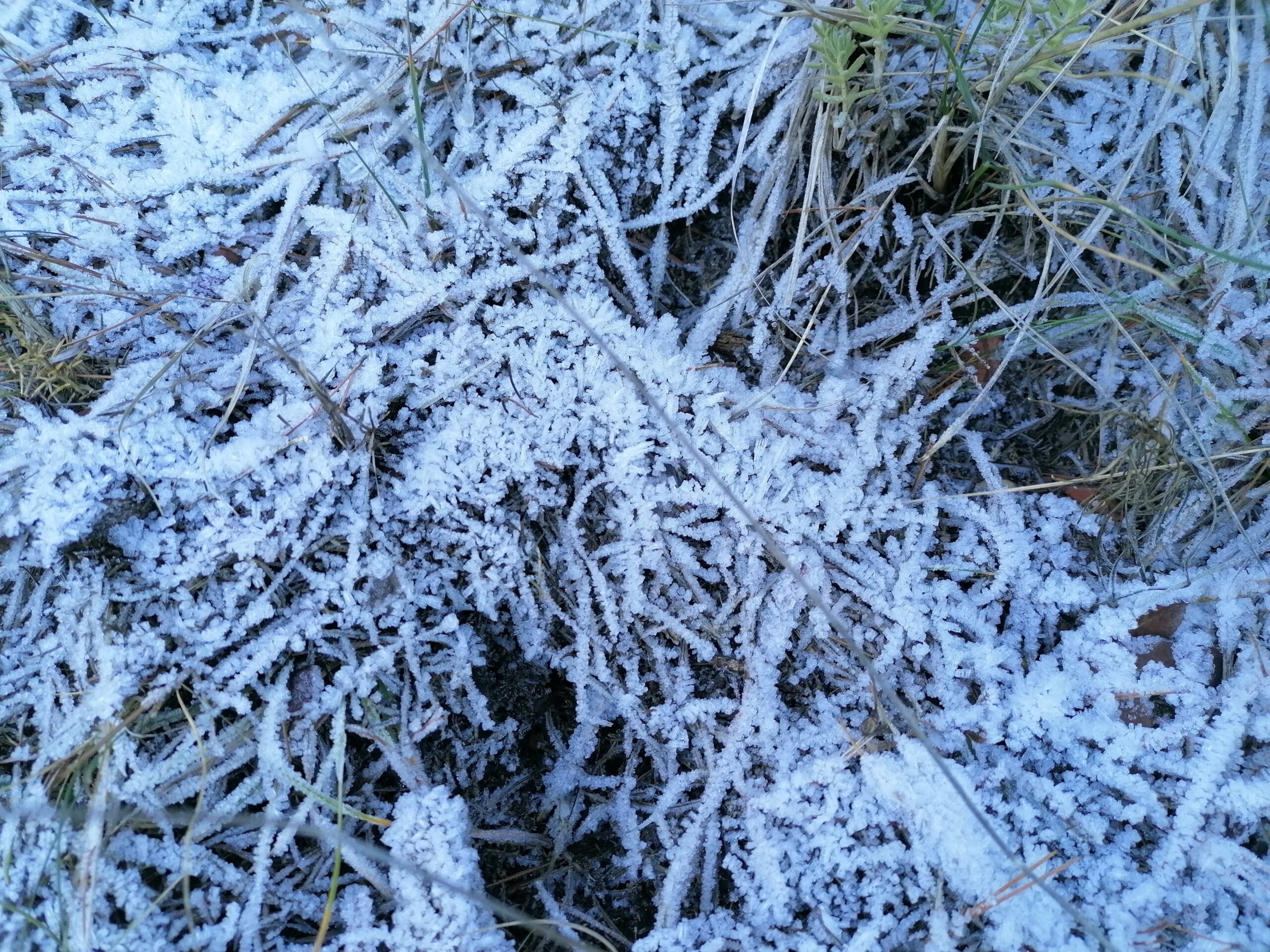 frost in spain